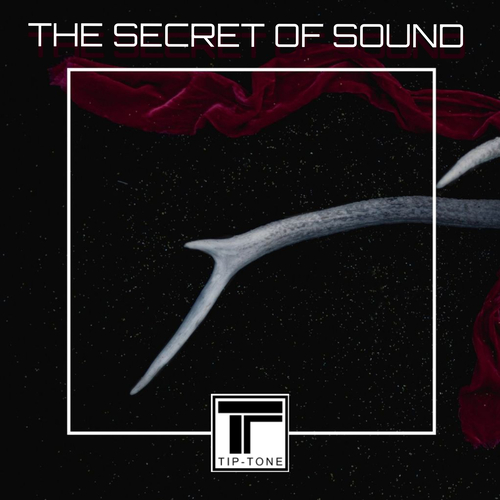 secret of sound tip tone