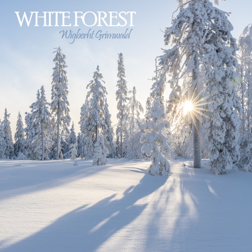 NFT PROJECT: WHITE FOREST