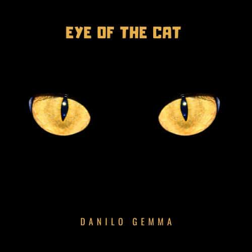 Eye of the cat - Danilo Gemma