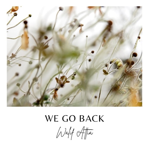 WE GO BACK - WALIF ATTIA