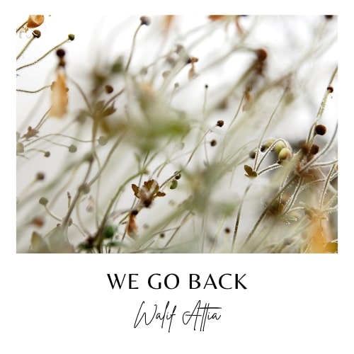WE GO BACK - Walif Attia